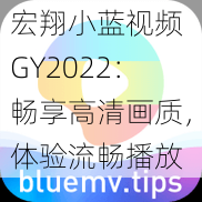 宏翔小蓝视频 GY2022：畅享高清画质，体验流畅播放