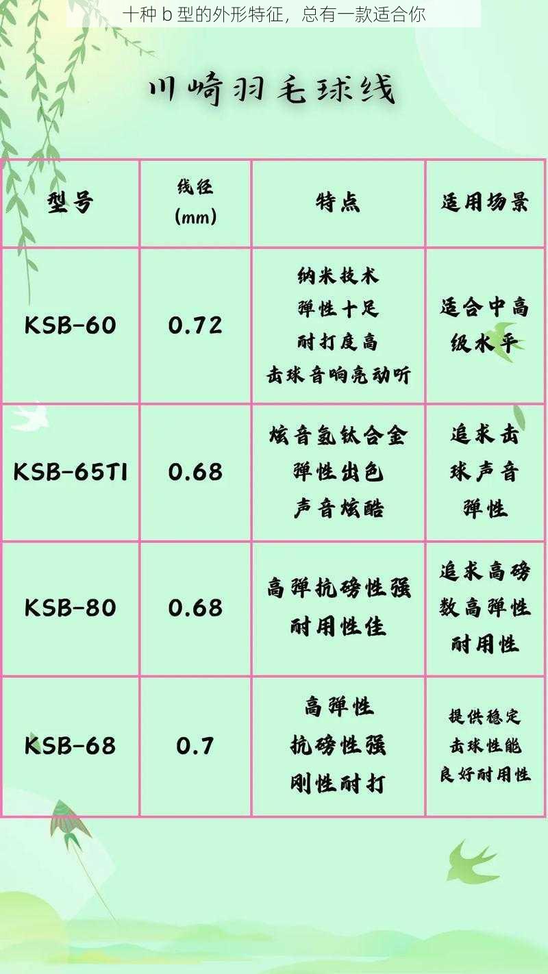 十种 b 型的外形特征，总有一款适合你