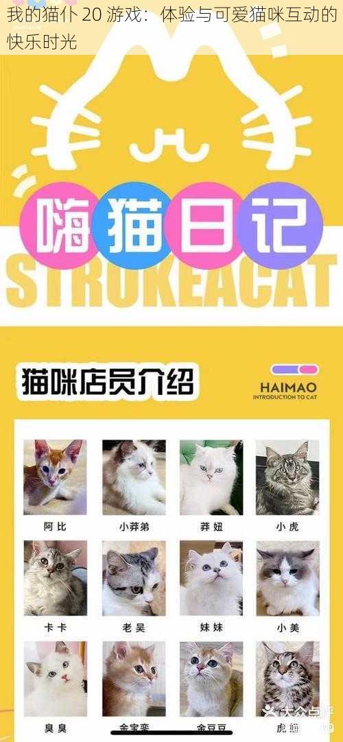 我的猫仆 20 游戏：体验与可爱猫咪互动的快乐时光