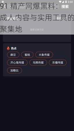 91 精产网爆黑料：成人内容与实用工具的聚集地