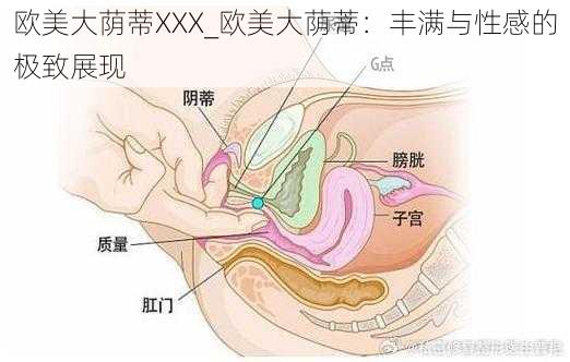 欧美大荫蒂XXX_欧美大荫蒂：丰满与性感的极致展现