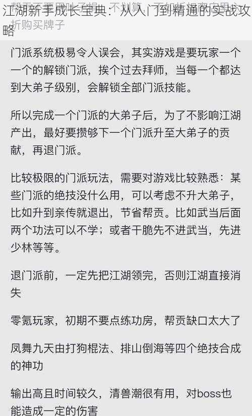 江湖新手成长宝典：从入门到精通的实战攻略