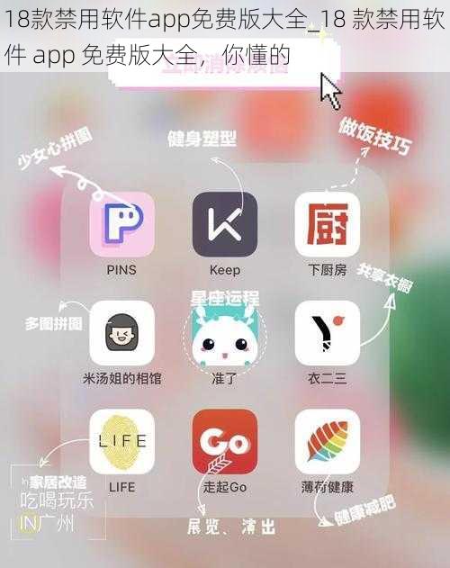 18款禁用软件app免费版大全_18 款禁用软件 app 免费版大全，你懂的