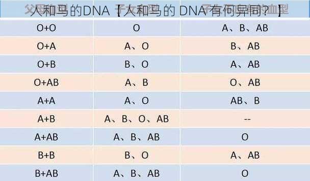 人和马的DNA【人和马的 DNA 有何异同？】