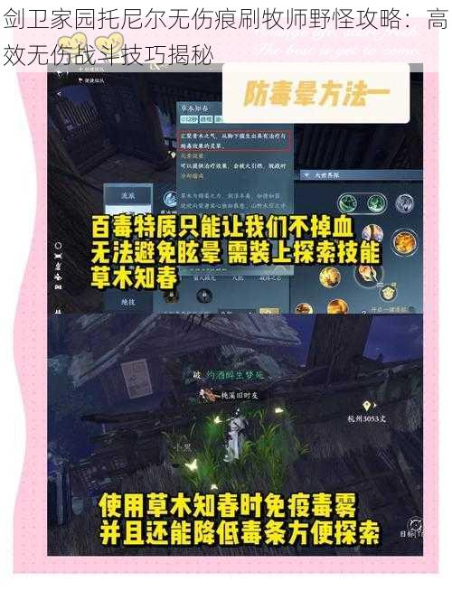 剑卫家园托尼尔无伤痕刷牧师野怪攻略：高效无伤战斗技巧揭秘