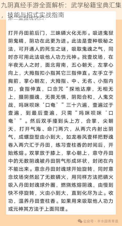 九阴真经手游全面解析：武学秘籍宝典汇集，技能与招式实战指南