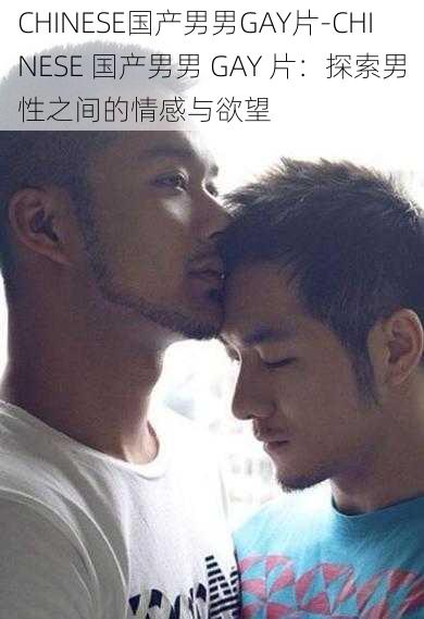 CHINESE国产男男GAY片-CHINESE 国产男男 GAY 片：探索男性之间的情感与欲望