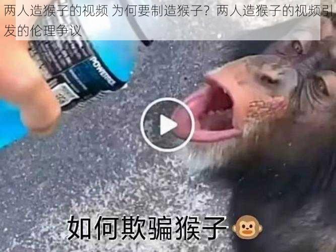 两人造猴子的视频 为何要制造猴子？两人造猴子的视频引发的伦理争议