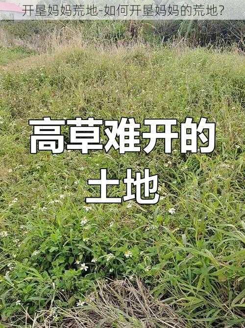 开垦妈妈荒地-如何开垦妈妈的荒地？