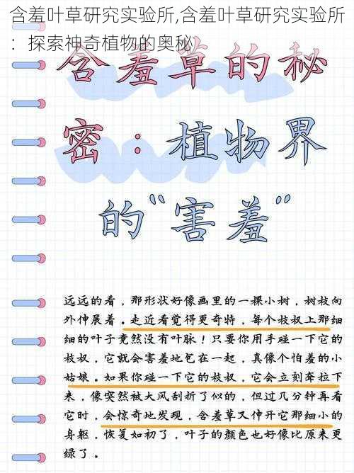 含羞叶草研究实验所,含羞叶草研究实验所：探索神奇植物的奥秘