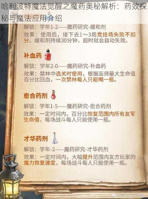 哈利波特魔法觉醒之魔药奥秘解析：药效探秘与魔法应用介绍