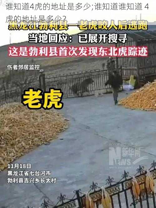 谁知道4虎的地址是多少;谁知道谁知道 4 虎的地址是多少？