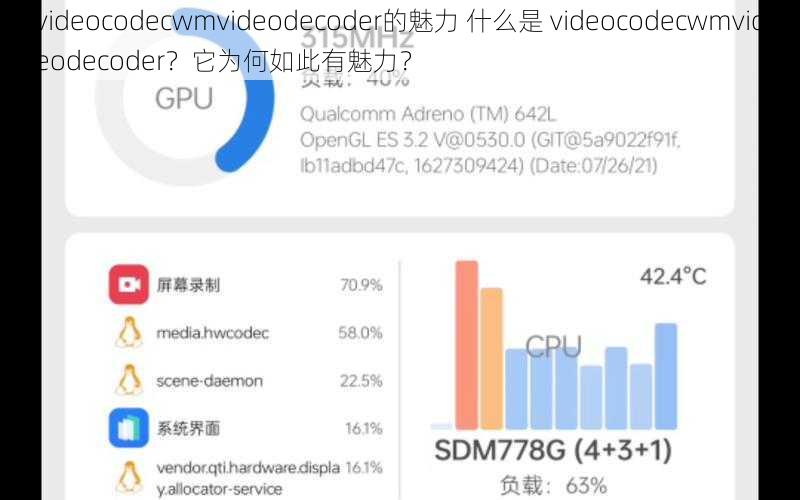 videocodecwmvideodecoder的魅力 什么是 videocodecwmvideodecoder？它为何如此有魅力？