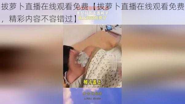 拔萝卜直播在线观看免费【拔萝卜直播在线观看免费，精彩内容不容错过】