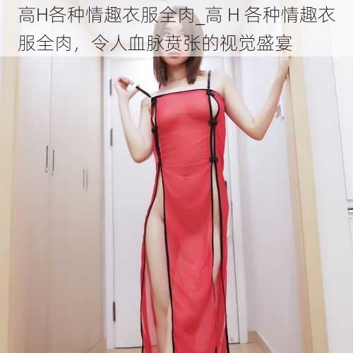 高H各种情趣衣服全肉_高 H 各种情趣衣服全肉，令人血脉贲张的视觉盛宴