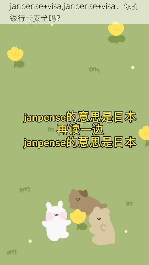 janpense+visa,janpense+visa，你的银行卡安全吗？