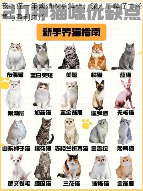 宠物猫一年繁殖收益解析：深入了解猫舍经营与盈利之道