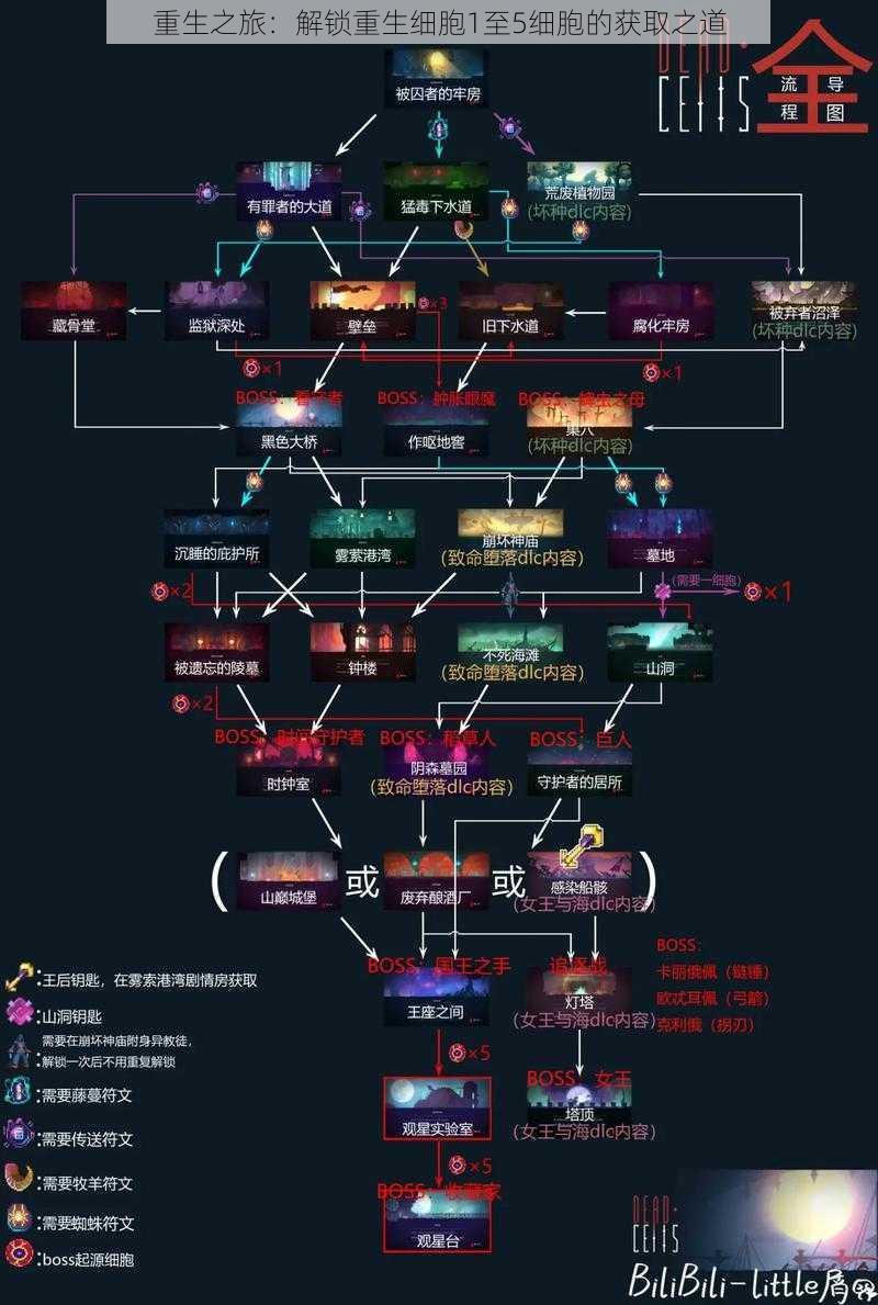 重生之旅：解锁重生细胞1至5细胞的获取之道