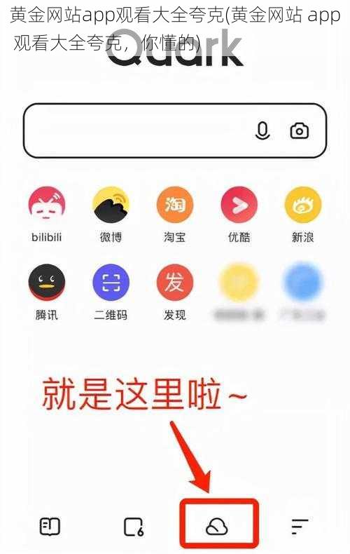 黄金网站app观看大全夸克(黄金网站 app 观看大全夸克，你懂的)