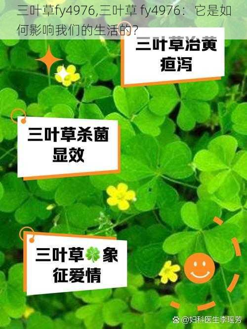 三叶草fy4976,三叶草 fy4976：它是如何影响我们的生活的？