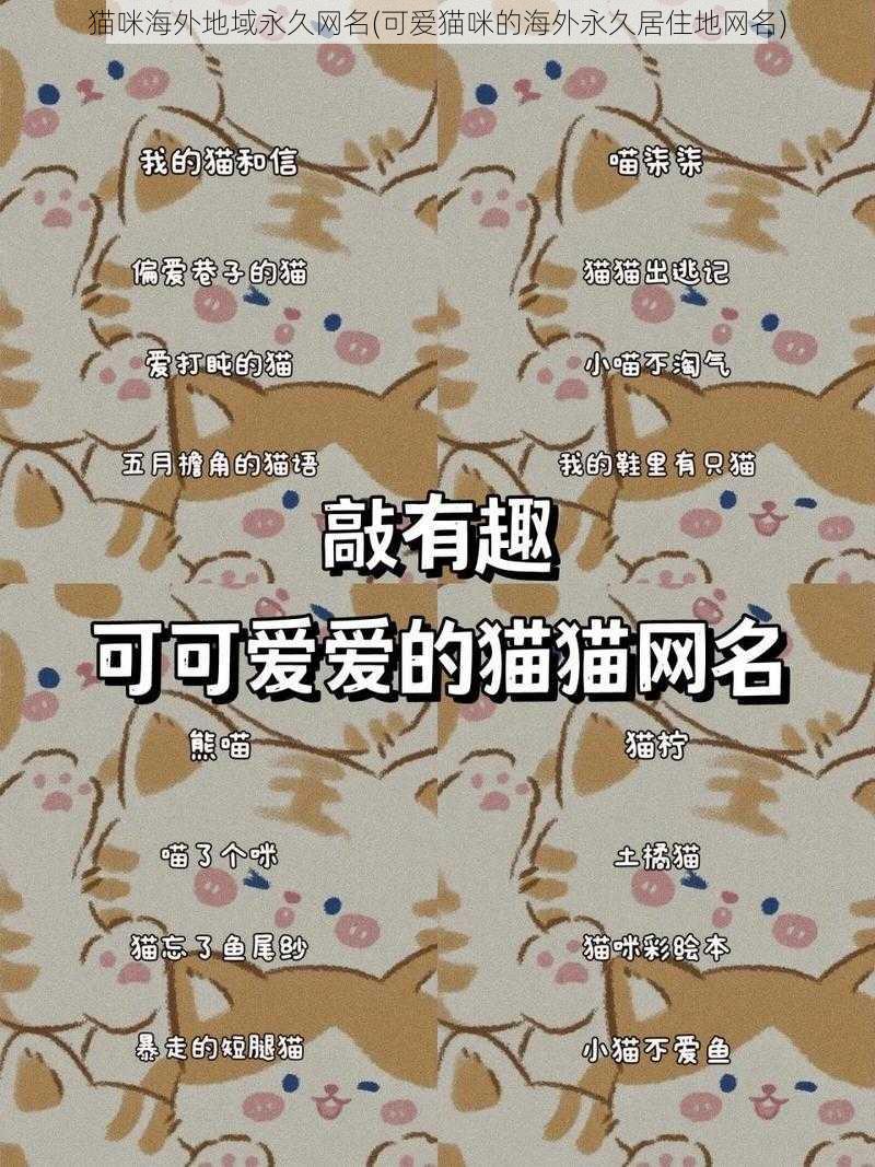 猫咪海外地域永久网名(可爱猫咪的海外永久居住地网名)