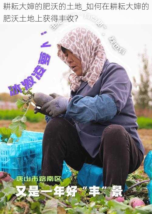 耕耘大婶的肥沃的土地_如何在耕耘大婶的肥沃土地上获得丰收？