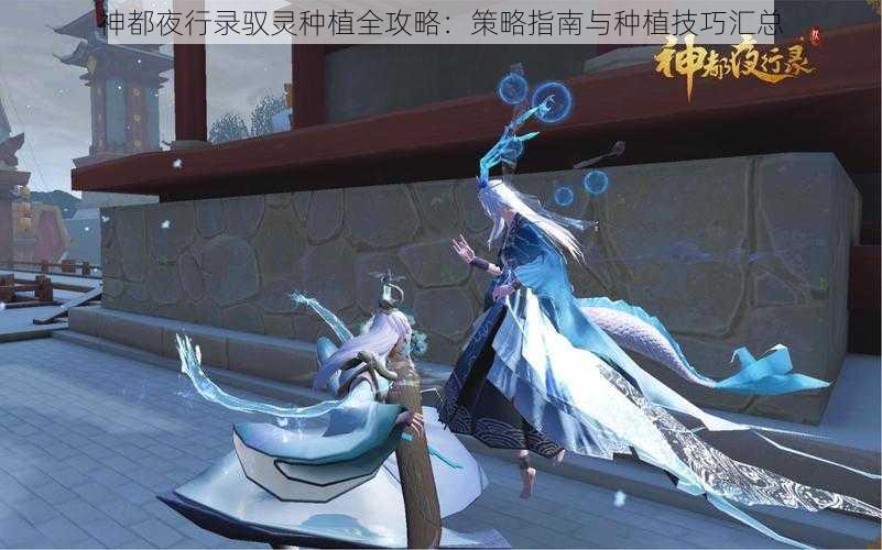 神都夜行录驭灵种植全攻略：策略指南与种植技巧汇总