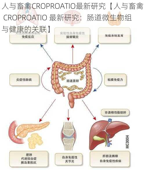 人与畜禽CROPROATIO最新研究【人与畜禽 CROPROATIO 最新研究：肠道微生物组与健康的关联】