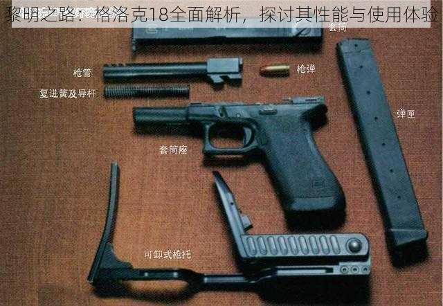 黎明之路：格洛克18全面解析，探讨其性能与使用体验