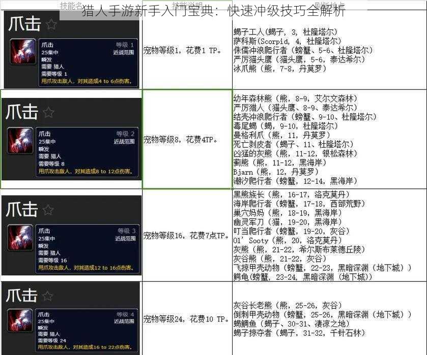 猎人手游新手入门宝典：快速冲级技巧全解析