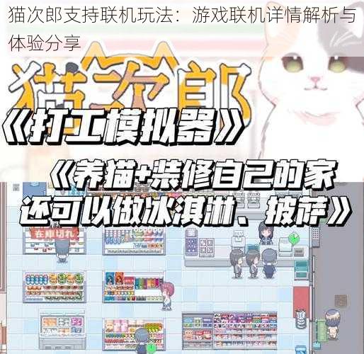 猫次郎支持联机玩法：游戏联机详情解析与体验分享