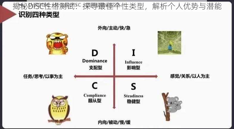 揭秘DISC性格测试：探寻最佳个性类型，解析个人优势与潜能