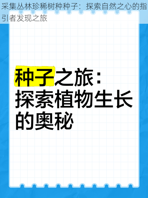 采集丛林珍稀树种种子：探索自然之心的指引者发现之旅