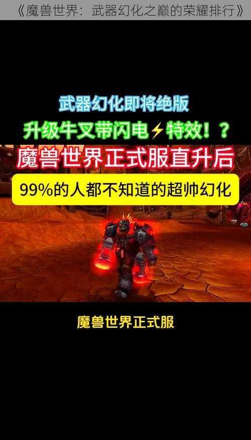 《魔兽世界：武器幻化之巅的荣耀排行》