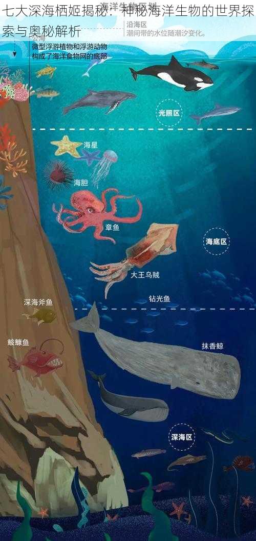 七大深海栖姬揭秘：神秘海洋生物的世界探索与奥秘解析