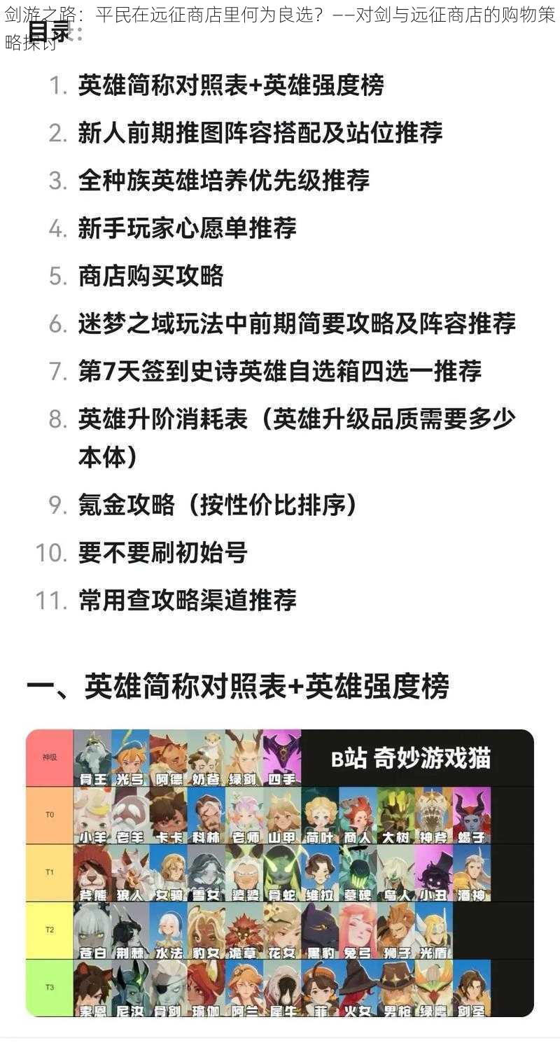 剑游之路：平民在远征商店里何为良选？——对剑与远征商店的购物策略探讨