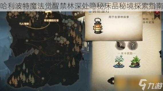 哈利波特魔法觉醒禁林深处隐秘床品秘境探索指南